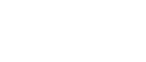 Aaction Overhead Door